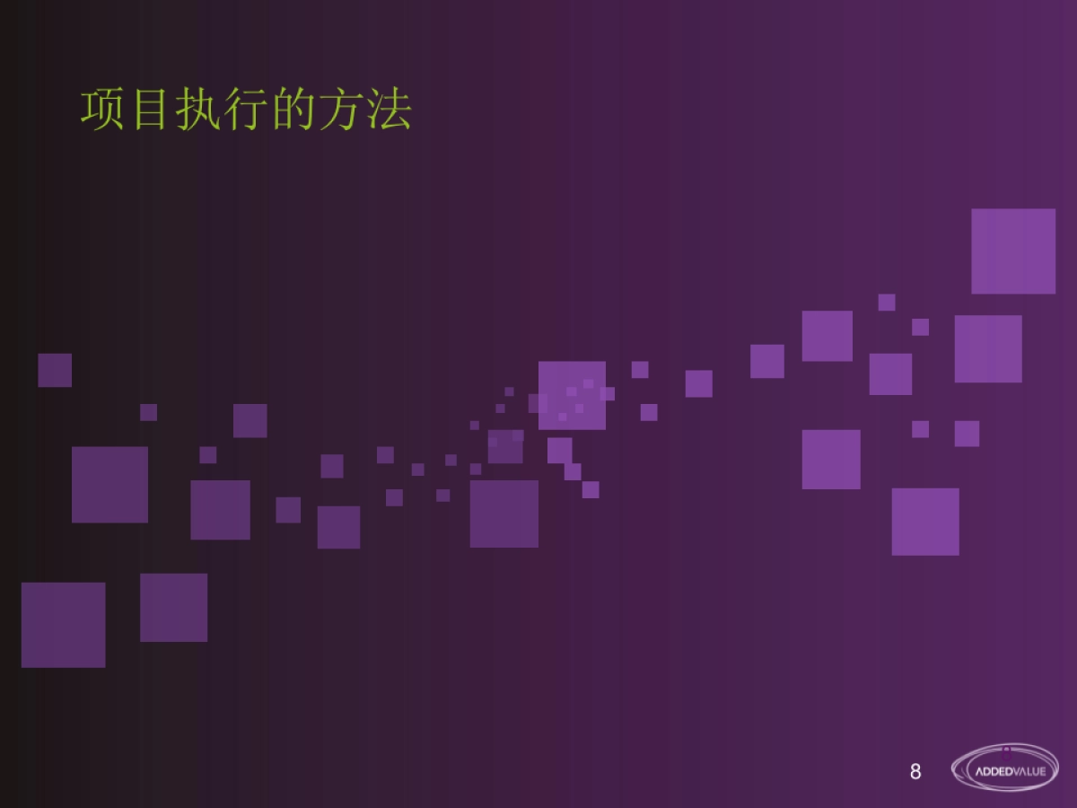 美莱品牌战略规划_第9页