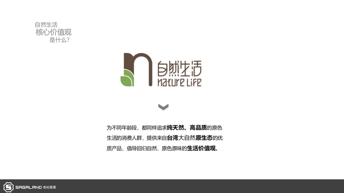 美丽人生品牌营销方案_第10页