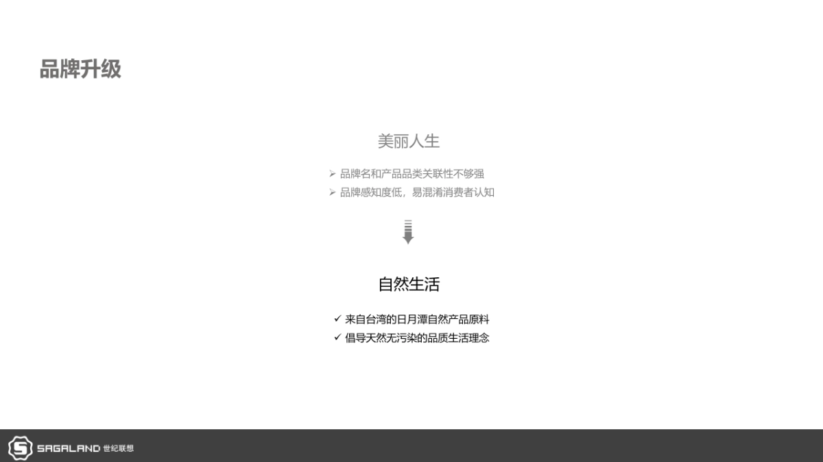 美丽人生品牌营销方案_第8页