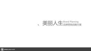 美丽人生品牌营销方案