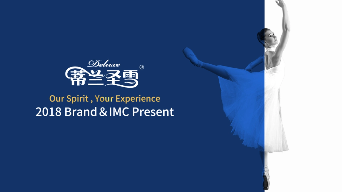 蒙牛蒂兰圣雪品牌策略_第1页