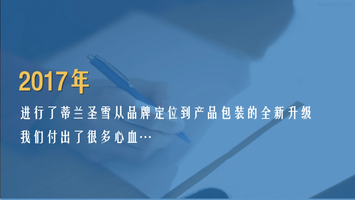 蒙牛蒂兰圣雪品牌策略_第2页