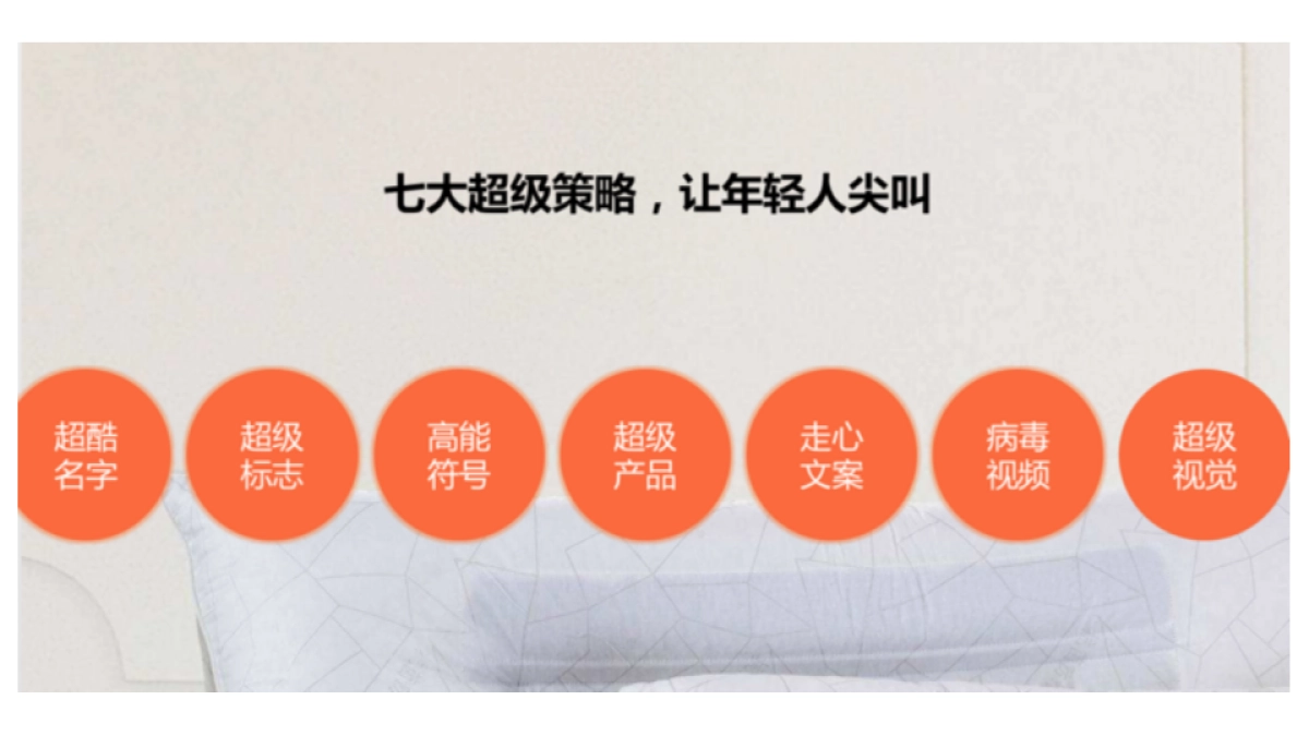 慕思抱枕新品开发品牌策略方案_第10页