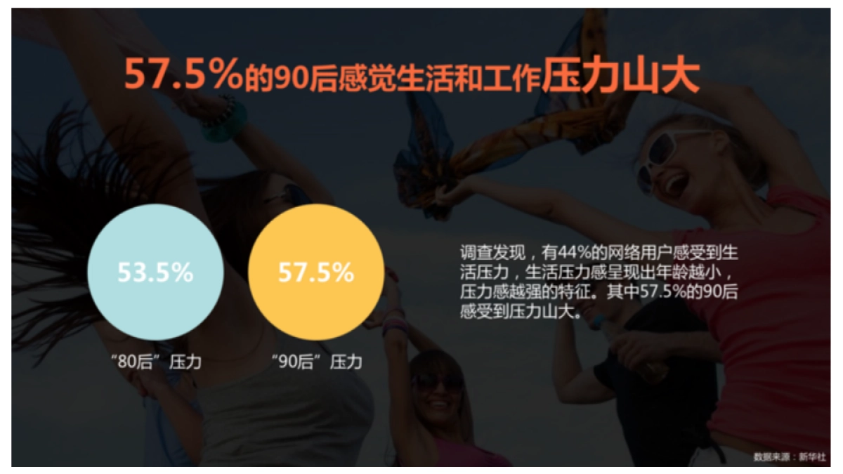 慕思抱枕新品开发品牌策略方案_第5页