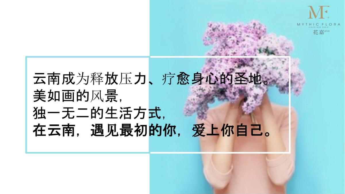 品牌定位及品牌文化梳理_第10页