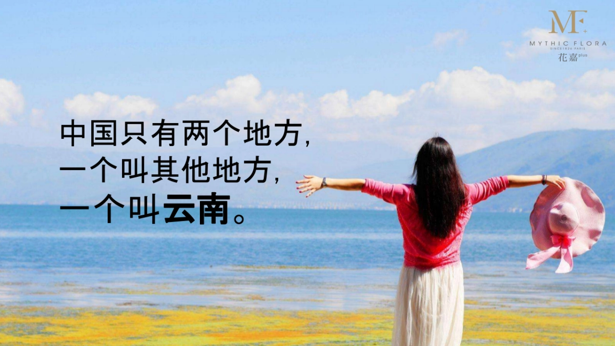 品牌定位及品牌文化梳理_第6页