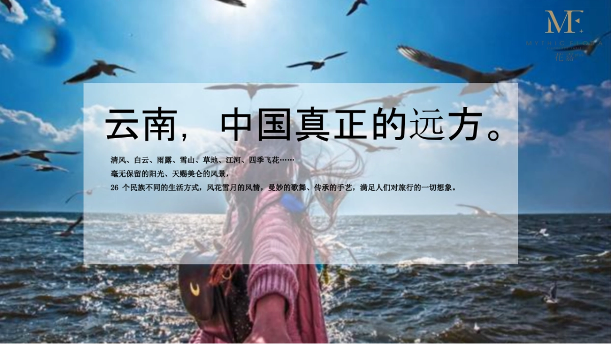 品牌定位及品牌文化梳理_第7页