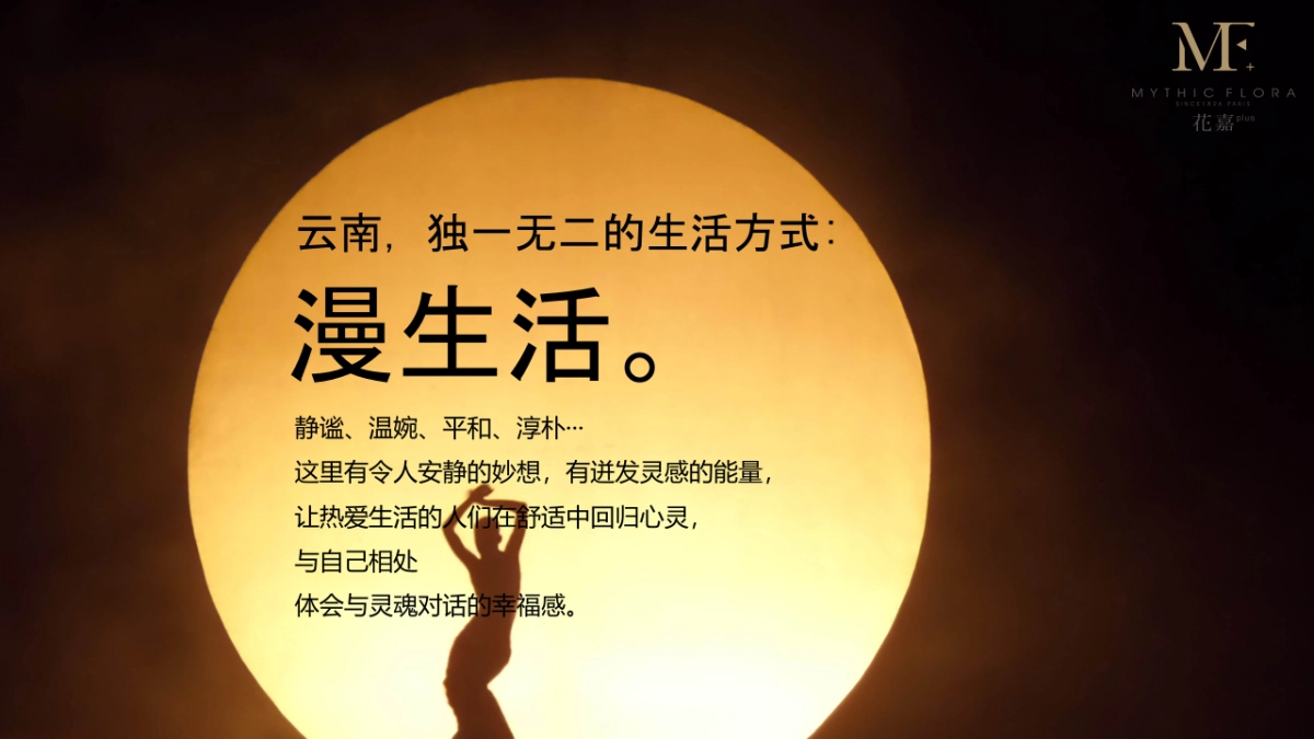 品牌定位及品牌文化梳理_第9页