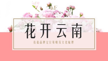 品牌定位及品牌文化梳理