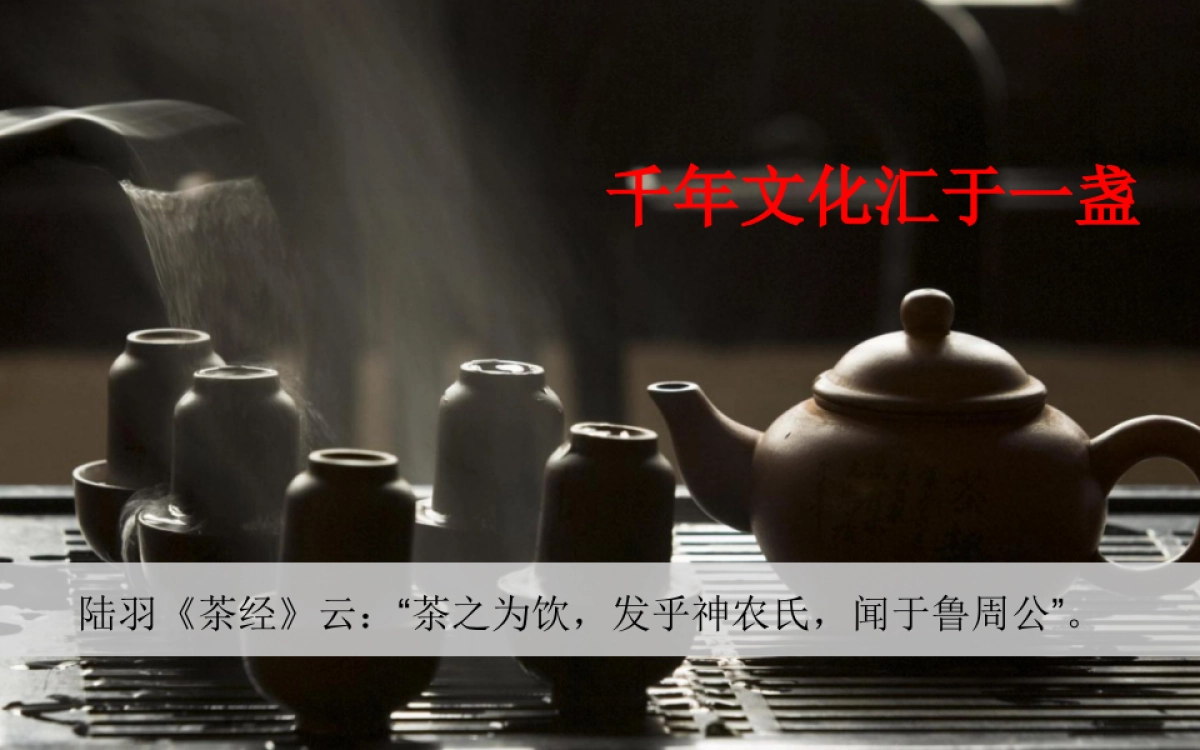 品牌体系-杯包-茶叶品牌策划_第3页