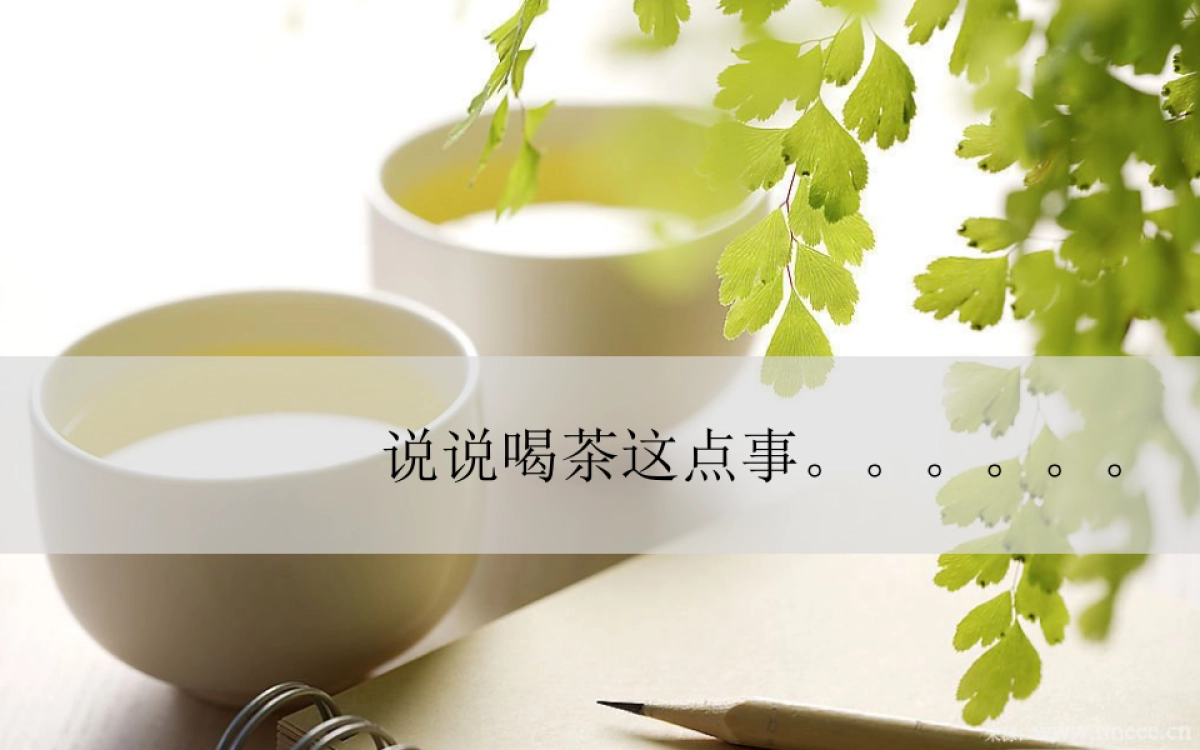 品牌体系-杯包-茶叶品牌策划_第4页