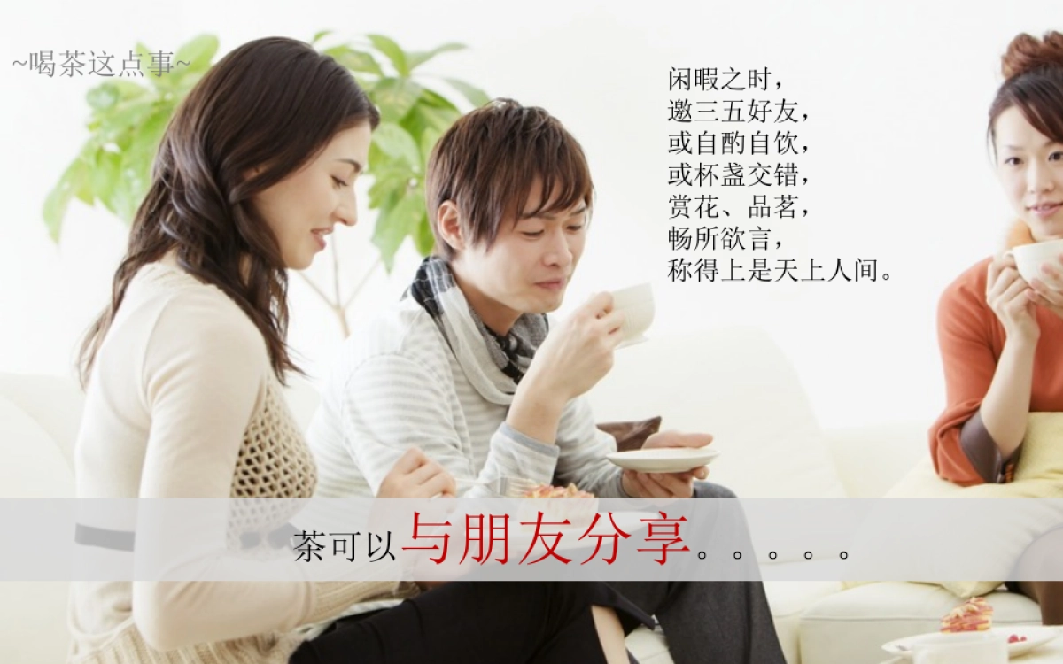 品牌体系-杯包-茶叶品牌策划_第6页