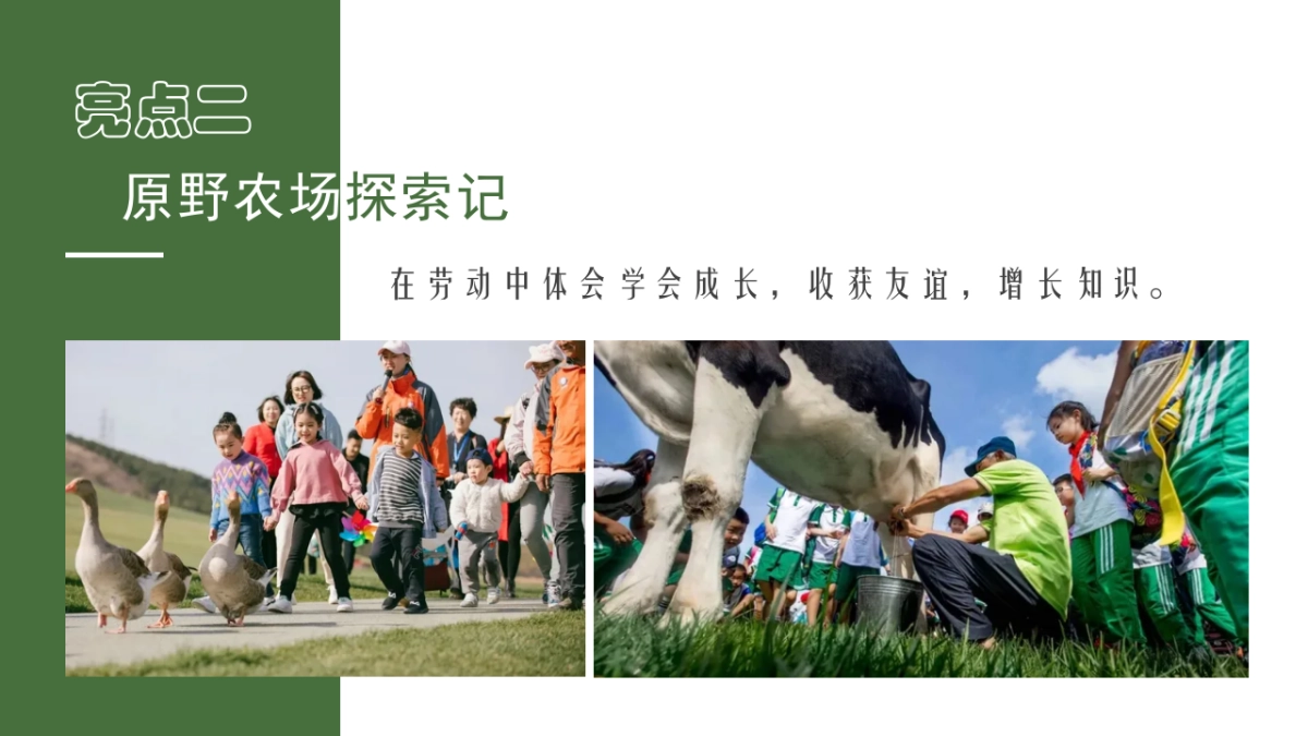 亲子研学“向往的生活”农场研学露营田野劳动农耕策划方案_第5页
