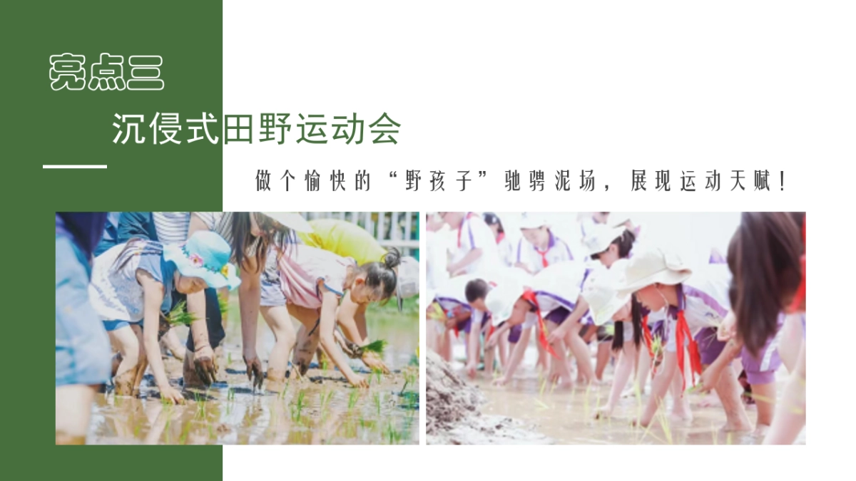 亲子研学“向往的生活”农场研学露营田野劳动农耕策划方案_第6页