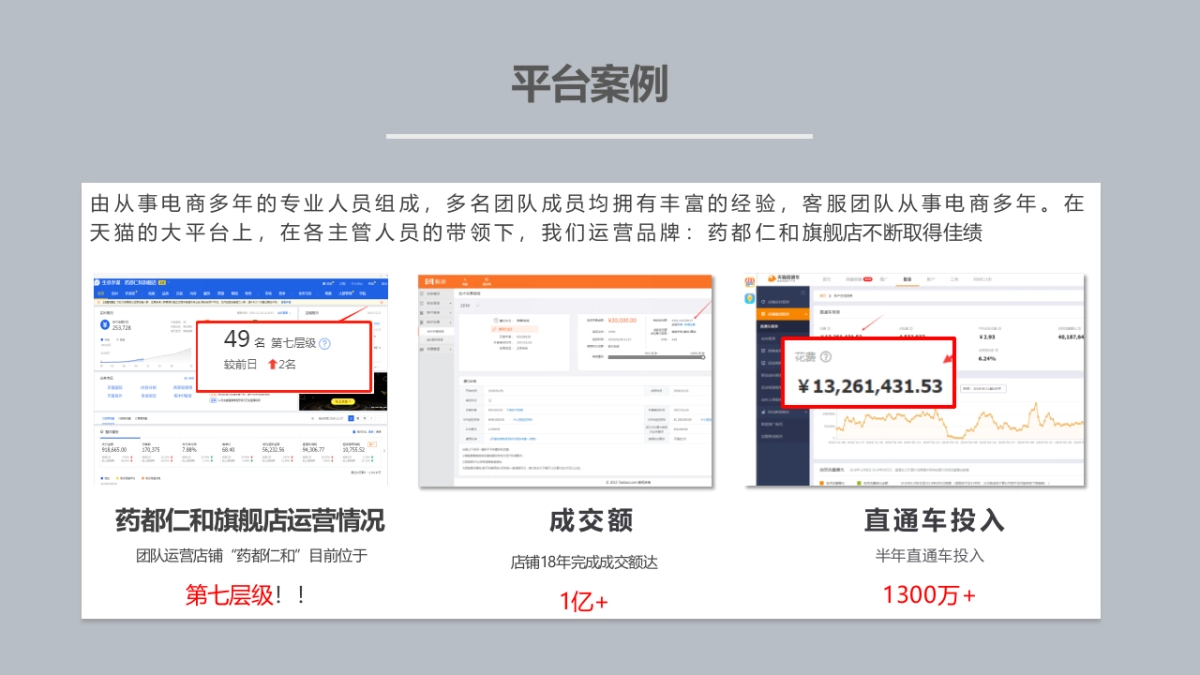 仁和品牌介绍_第8页