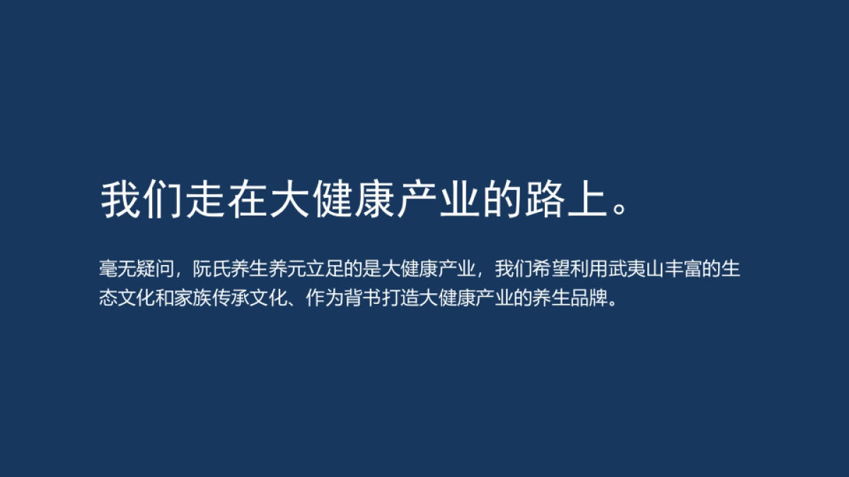 阮式养元品牌战略规划_第2页