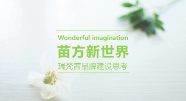 瑞梵茜品牌建设思考