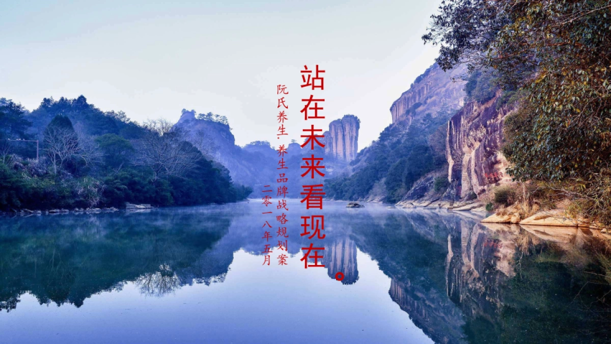 氏养生.养生品牌战略规划案-98P _第1页