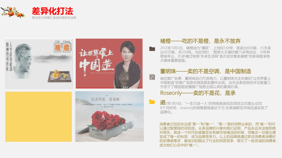 首届湖南永州(回龙圩)柑橘节策划方案_第6页