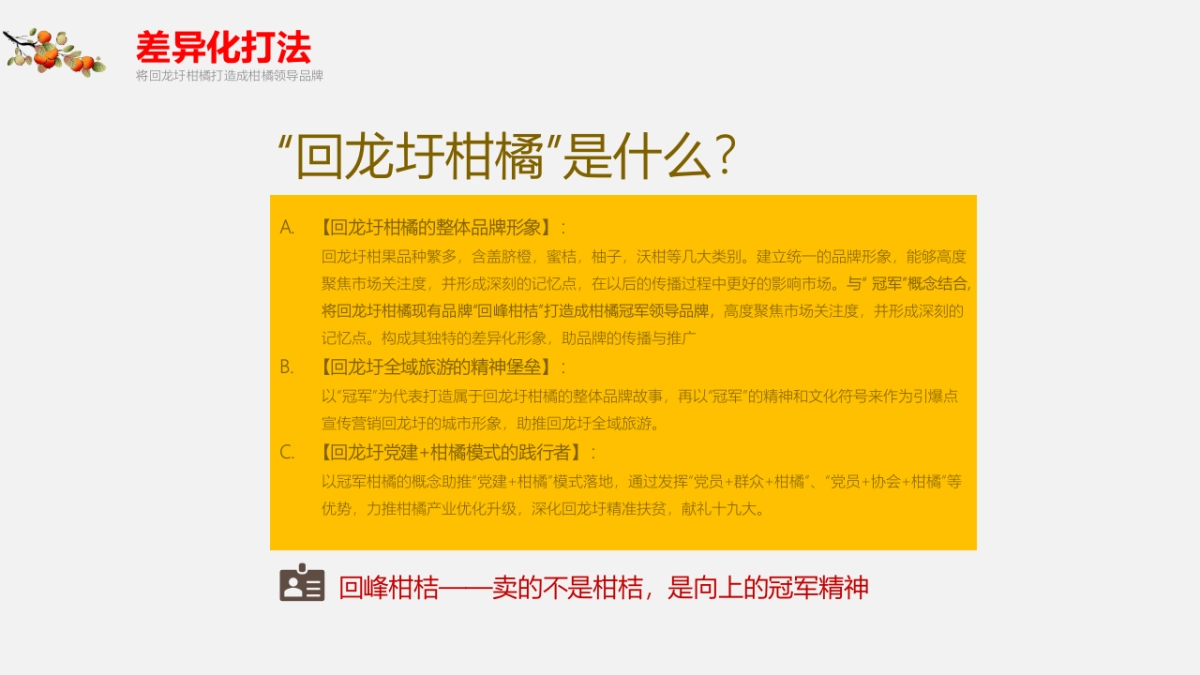 首届湖南永州(回龙圩)柑橘节策划方案_第7页