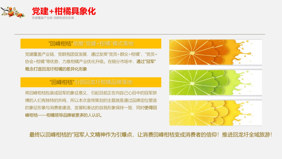 首届湖南永州(回龙圩)柑橘节策划方案_第8页