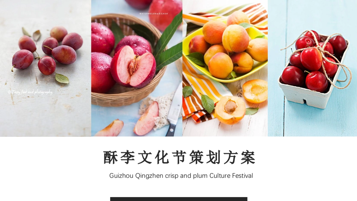 酥李文化节策划方案_第1页