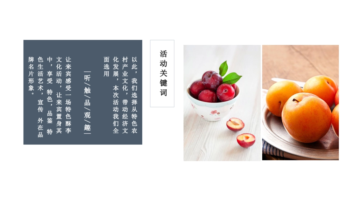 酥李文化节策划方案_第5页