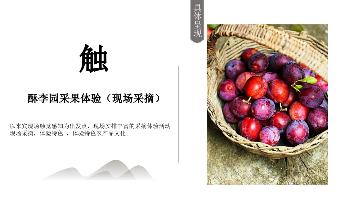 酥李文化节策划方案_第7页