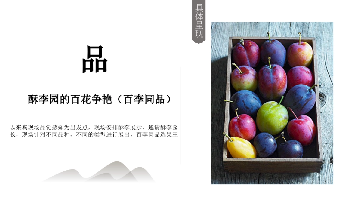 酥李文化节策划方案_第8页