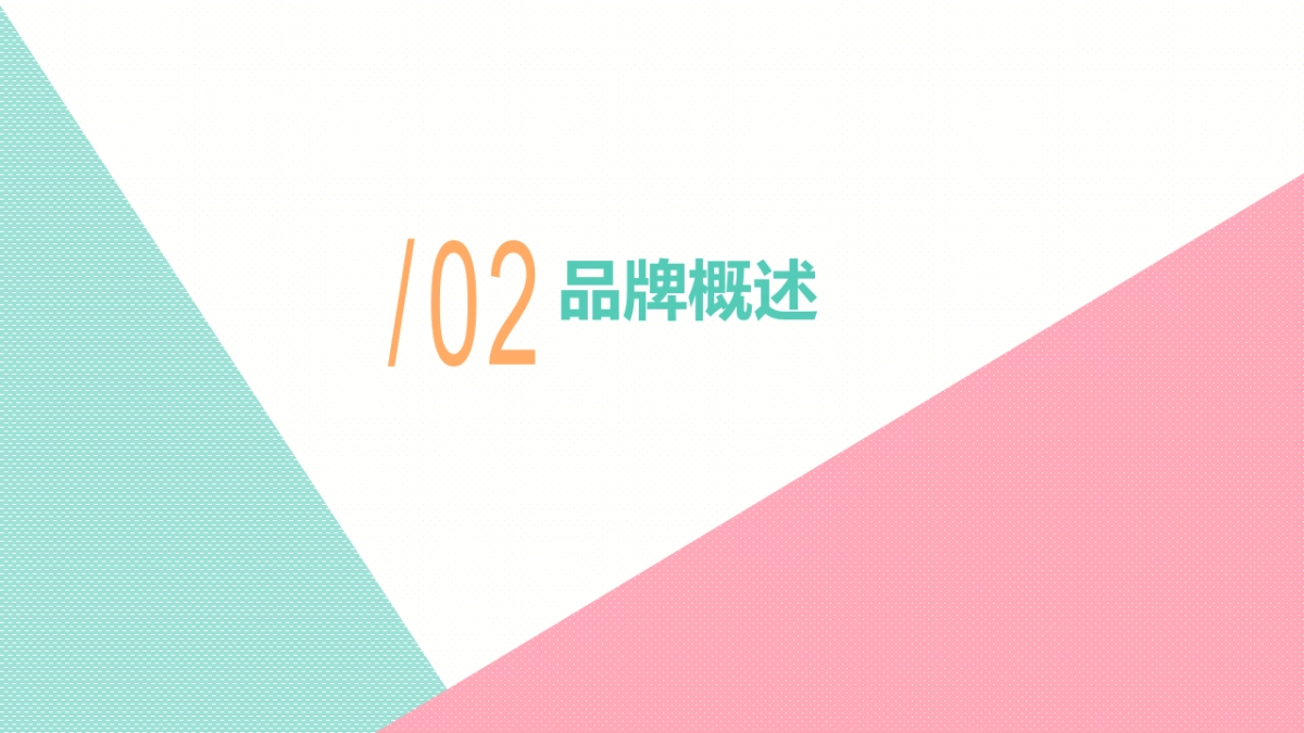 唐佰腐品牌策划案_第10页