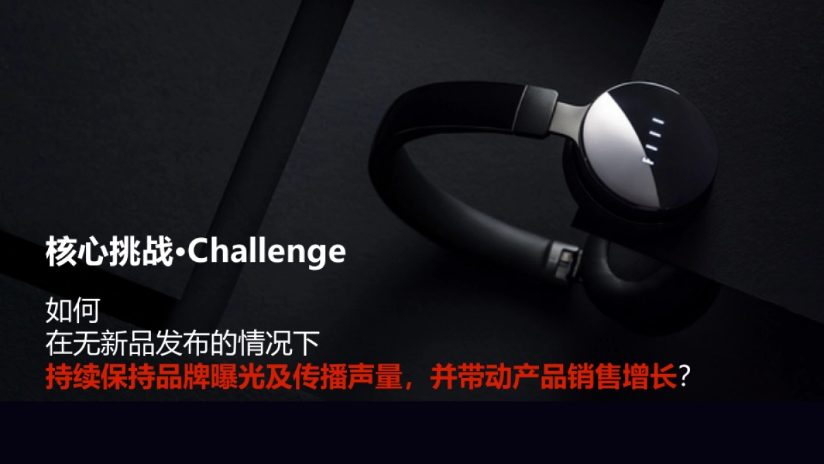 汪峰FIIL耳机年度品牌社会化营销方案_第3页