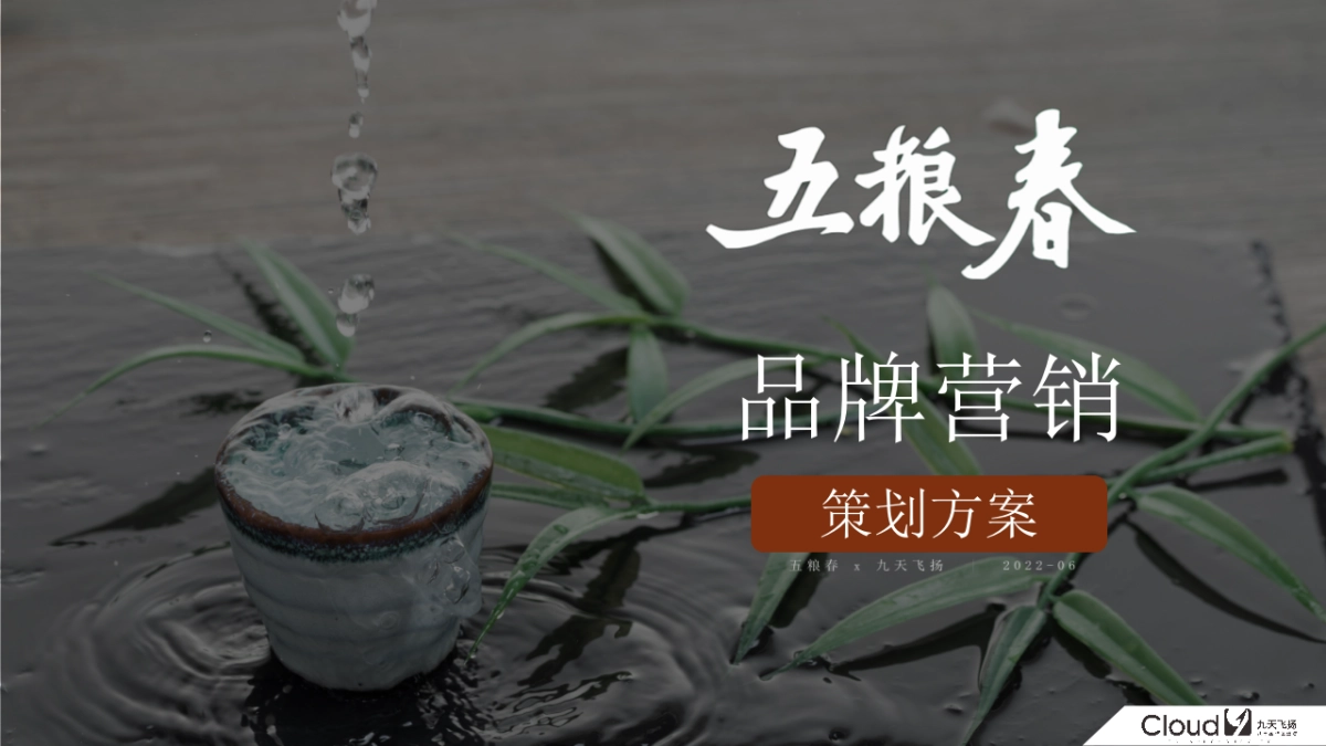 五粮春品牌营销案_第1页