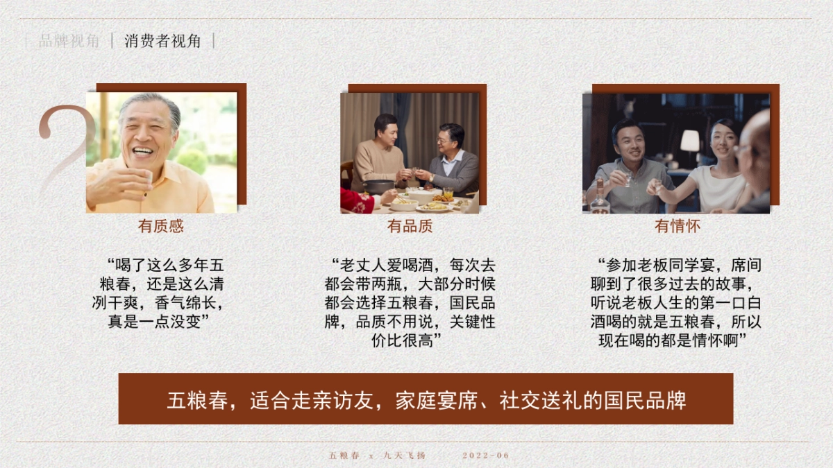 五粮春品牌营销案_第5页