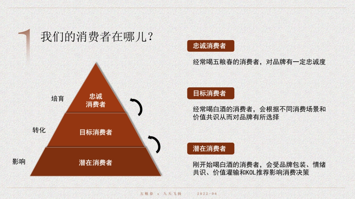 五粮春品牌营销案_第9页