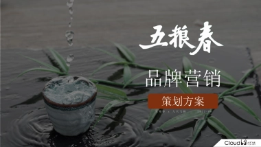 五粮春品牌营销案