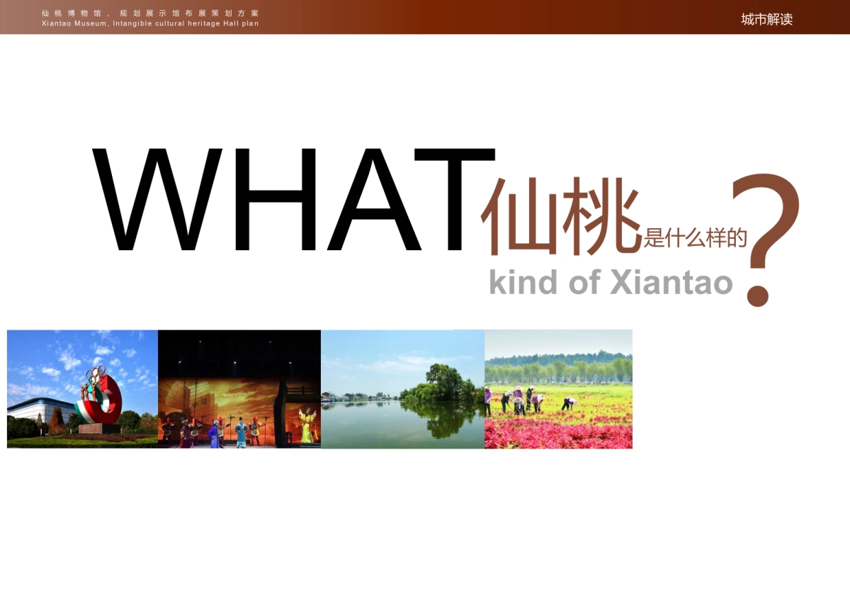 仙桃博物馆非遗馆策划案_第5页