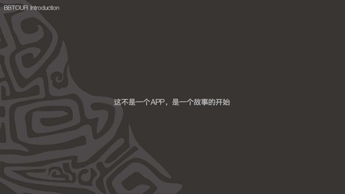 球途商业策划书_第4页