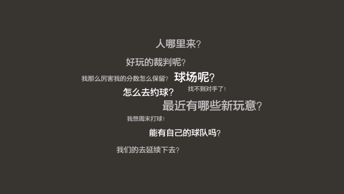 球途商业策划书_第6页