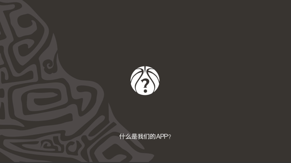 球途商业策划书_第9页