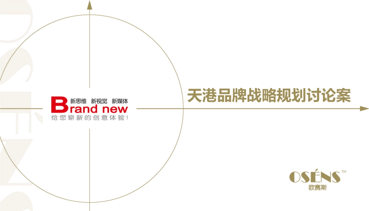 天港品牌战略规划讨论案_第1页