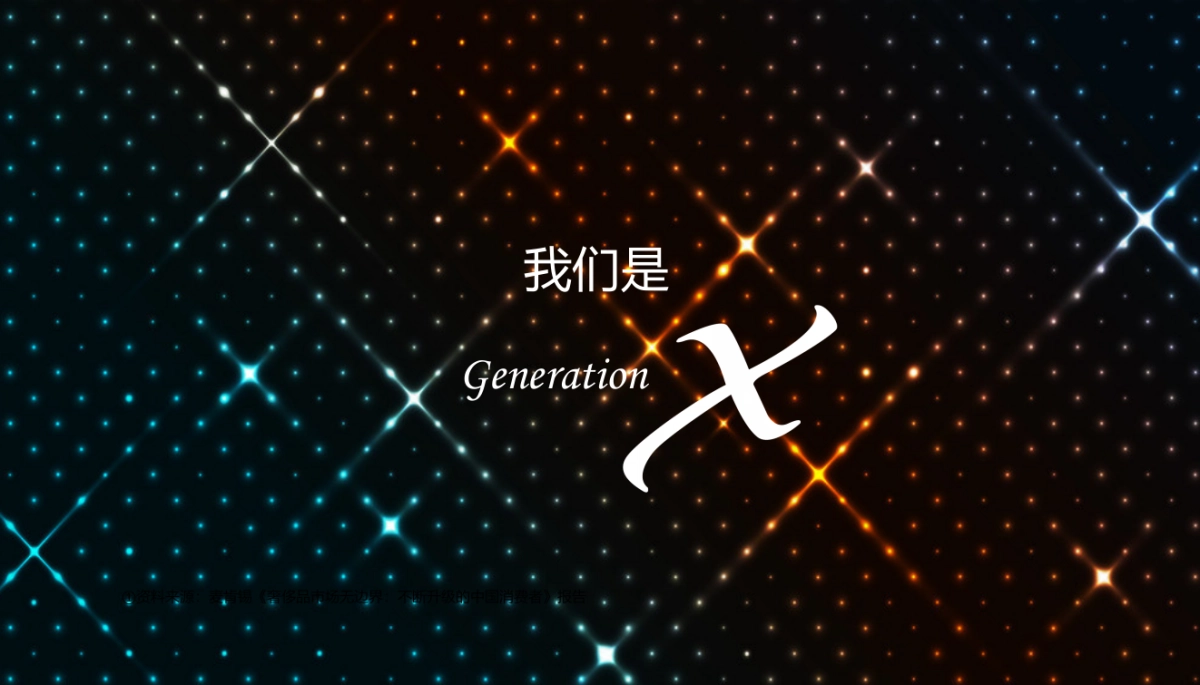 天港品牌战略规划讨论案_第4页