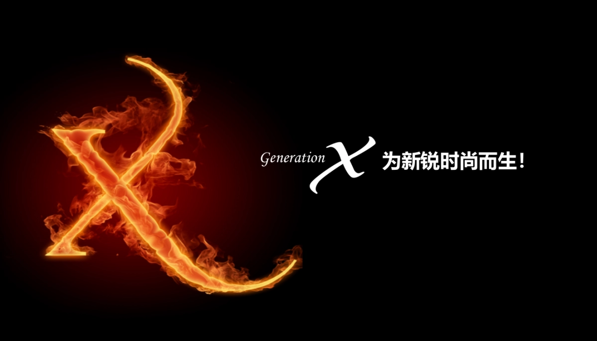 天港品牌战略规划讨论案_第7页