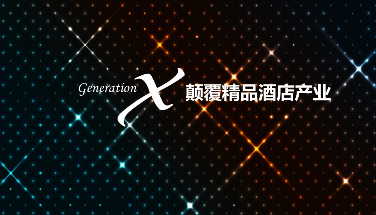 天港品牌战略规划讨论案_第9页