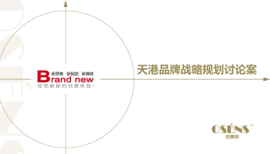 天港品牌战略规划讨论案