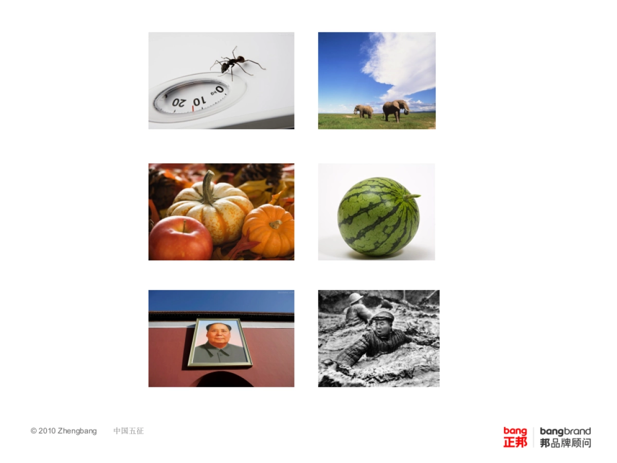正邦 品牌命名方案_第3页