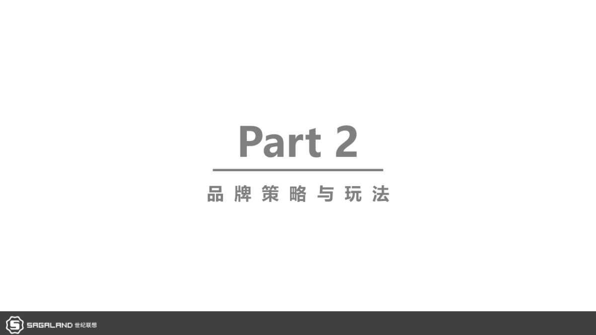 伊妮娜品牌专案_第9页