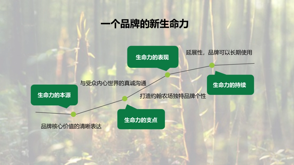 约翰农场品牌核心创作方案_第2页