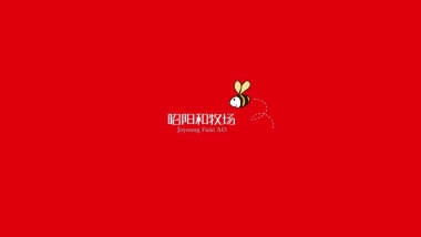 昭阳和牧场-保利（郑州）品牌策略方案