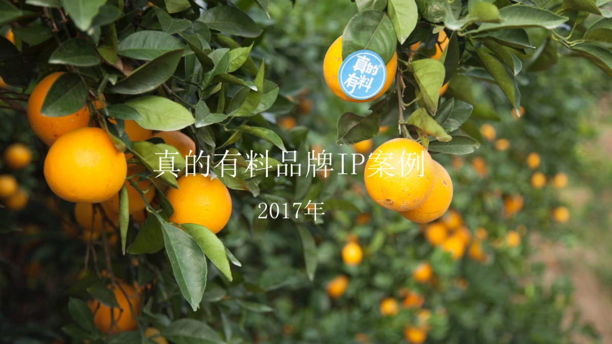 真的有料品类品牌展示_第1页