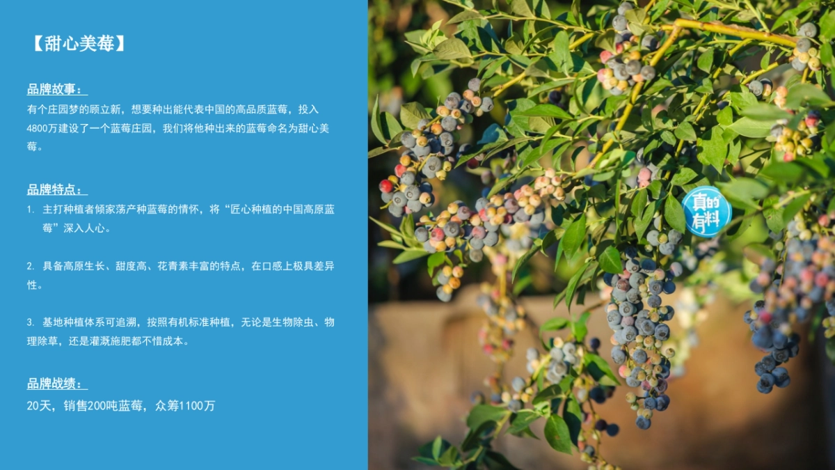 真的有料品类品牌展示_第4页